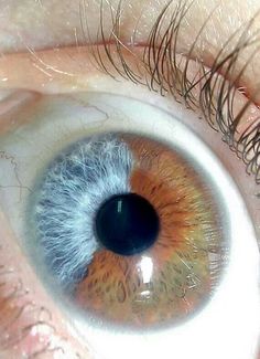 Rare Eyes, Beautiful Eyes Color, Look Into My Eyes, Eye Photography, Aesthetic Eyes, Human Eye, Eye Art