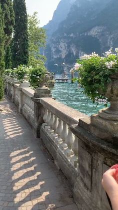 a person taking a photo of the water and mountains from a stone bridge with flowers growing on it