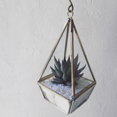 a hanging planter filled with white rocks and succulents