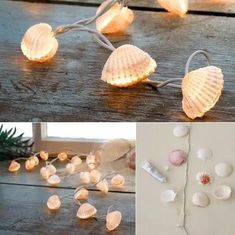 seashells and lights are on the table