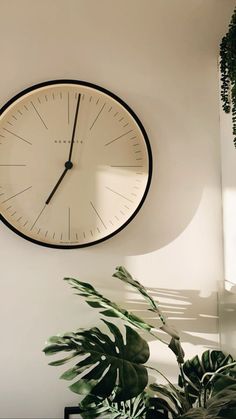 a large clock mounted to the side of a wall next to a potted plant