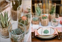 there are many different types of succulents in glass vases on the table