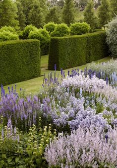 the garden is full of colorful flowers and hedges