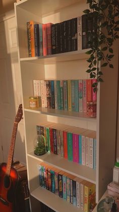 a book shelf filled with lots of books next to a guitar and potted plant