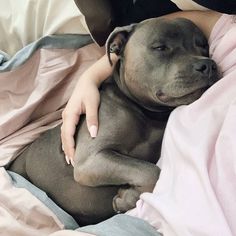 a woman cuddles with her dog while she lays in bed on top of the blanket