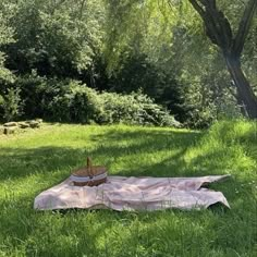 a picnic blanket with a cake on it in the middle of a grassy area next to trees