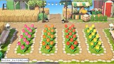 an image of a farm yard with many different flowers and plants in the middle of it