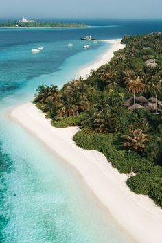 an aerial view of a tropical island with white sand and palm trees