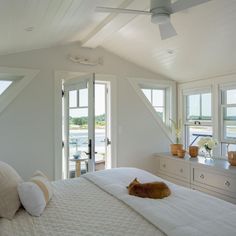 an orange cat laying on top of a white bed in a bedroom next to windows