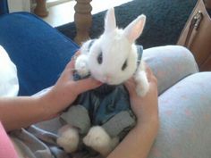 a person holding a small white rabbit in their hands with the caption, i am not sure what you are looking for