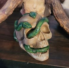 a skull with a snake wrapped around it's neck sitting on a wooden table