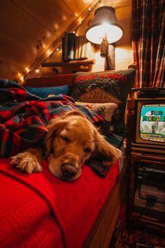 a dog sleeping on top of a bed next to an old fashioned tv and lamp