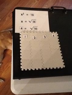 a dog laying on the floor next to a piece of paper with numbers and times