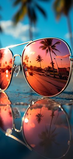 the reflection of palm trees in sunglasses