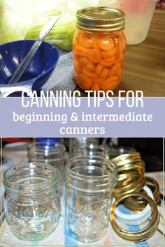 Canning jars of carrots Inexpensive Appetizers, Canning For Beginners, Canes Food, Canning Granny, Easy Canning, Canning 101, Canning Vegetables, Canning Food Preservation