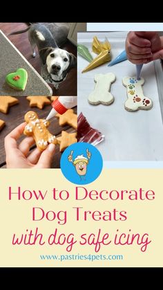 how to decorate dog treats with dog safe icing for dogs and their owners at home