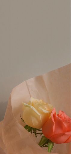 two roses sitting on top of a piece of paper in front of a white wall