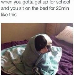 a pug wrapped in a blanket on top of a bed with the caption waiting for bae to bring you your coffee