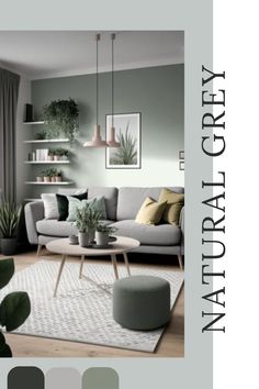 a living room filled with furniture and green plants on top of a white area rug