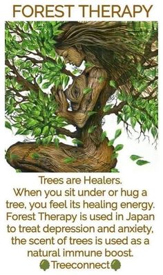 Forest Therapy, Earth Day Activities, Energy Healing Spirituality, Natural Antibiotics, Man Men, Mental And Emotional Health, Holistic Healing, Men Boys