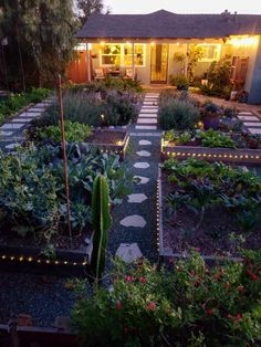 a garden with lots of plants and lights in front of a house at night time