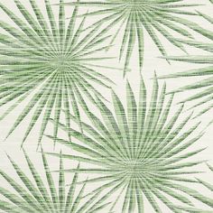 Purchase sample of T10142 Palm Frond, Tropics Thibaut Wallpaper Green And White Wallpaper, Thibaut Wallpaper, Palm Leaf Design, Palm Wallpaper, Jojo Designs, Palm Fronds, Kelly Wearstler, Wallpaper Calculator, More Wallpaper