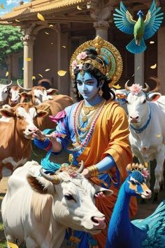 a woman dressed in blue and orange standing next to cows with horns on their heads