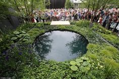 a group of people standing around a pond surrounded by plants