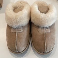 Ugg Slip On Sheepskin Slipper Style: Coquette Size: Woman’s 11 Color: Tan With Cream Sheepskin Condition: New With Tags, Sun Original Box And Plastic Christmas Present That Was Never Opened. Better Quality Then What Is Being Sold New Now! Ugg Coquette, Sheepskin Slippers, Slide On, Christmas Present, Womens Uggs, Ugg Shoes, Shoe Brands, Abs Workout, Original Box