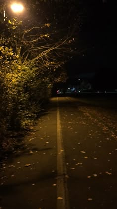 an empty street at night with leaves on the ground and trees lining the side walk