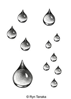 several drops of water are shown in this black and white drawing by ryan tanka