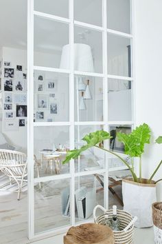 a living room filled with lots of white furniture and plants on top of it's windows