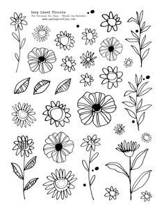 flowers and leaves are drawn in black ink on white paper, with the words daisy island plants