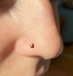 a lady bug on the side of a woman's nose