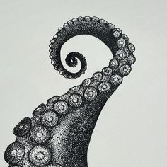 an ink drawing of an octopus with its tentacles curled up and eyes open, on a white background