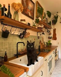 a black cat sitting on top of a kitchen sink