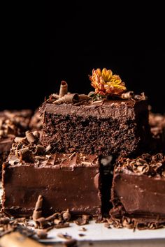 a piece of chocolate cake sitting on top of a white plate with nuts around it