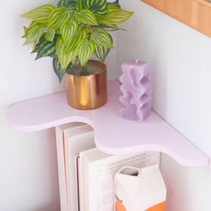 a potted plant sitting on top of a white shelf