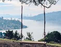 a wooden swing sitting on top of a lush green hillside