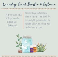 a poster with instructions for how to use laundry scent booster and softener in the bathroom