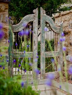 an old wooden gate with purple flowers in the foreground and a stone wall behind it