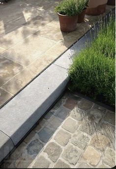 a fire hydrant sitting on top of a stone walkway next to potted plants