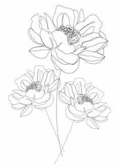 three large flowers are shown in this black and white drawing, with one single flower on the