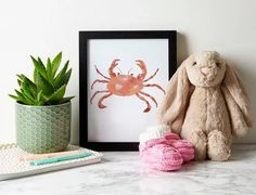 a stuffed animal sitting next to a potted plant and a framed photograph on a table