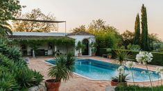 an outdoor swimming pool surrounded by greenery and potted plants in front of a house