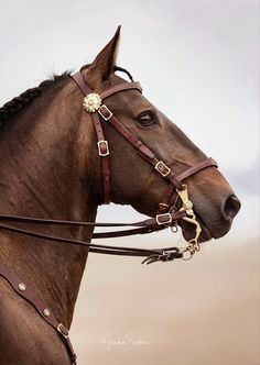 a brown horse wearing a bridle with braids on it's head