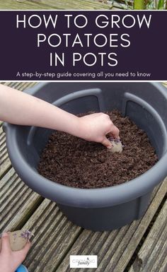 a person scooping dirt into a pot with the title how to grow potatoes in pots