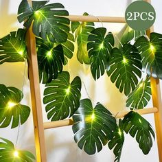 some green plants are hanging from a wooden ladder with lights on them and there is a sign that says 2 pics