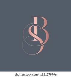 the letter b and s is inscribed in pink on a gray background with an elegant design