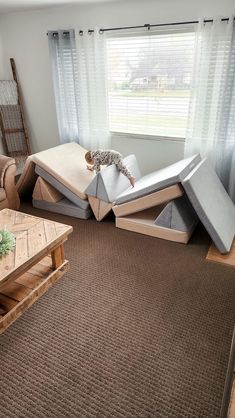 a living room filled with furniture and a cat bed on top of the couches